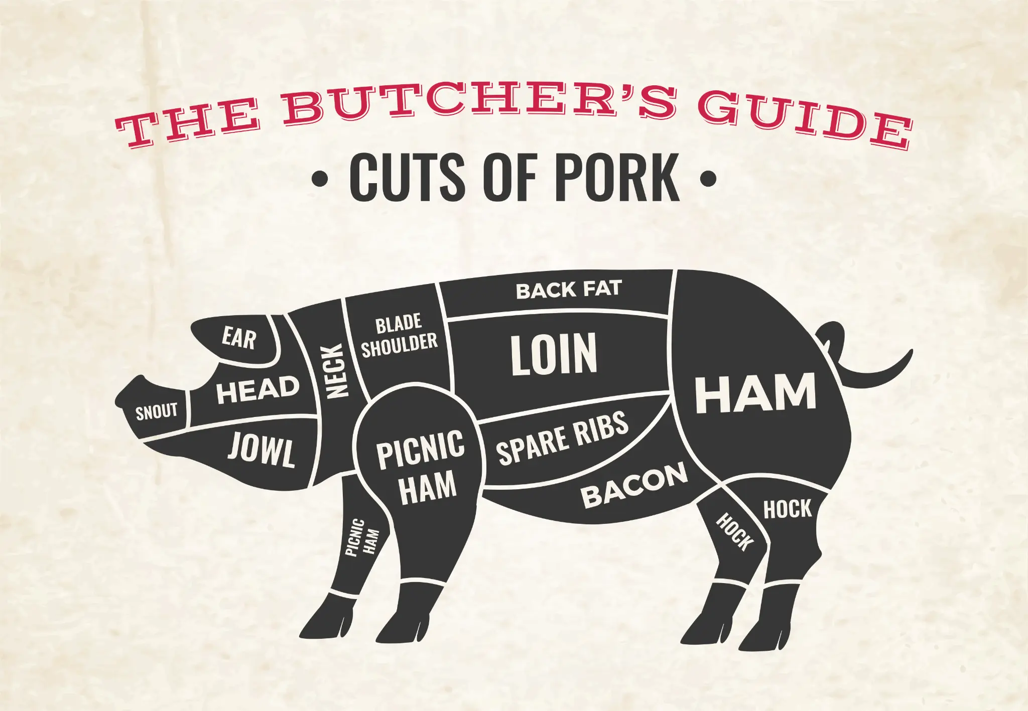 Butcher guide diagram showing cuts of pork